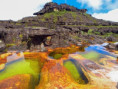 /album/fotogaleria-venezuela-zajazd/zajazd-venezuela-jamajkanita-52-jpg/
